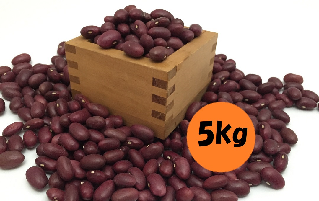 無農薬栽培「大正金時豆」 5kg – 農業生産法人（株）玉手農場 キタアカリ発祥の地
